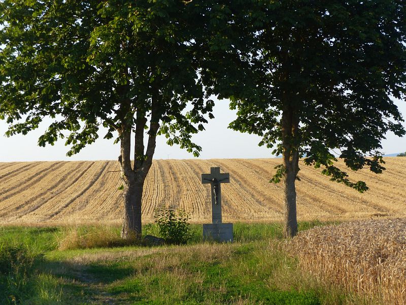 P1640003