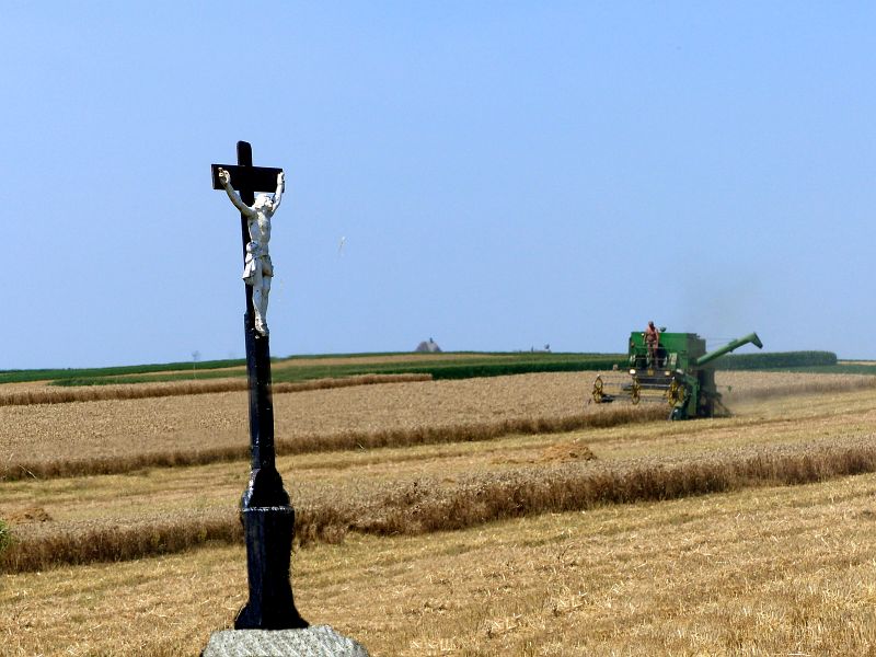 P1640079