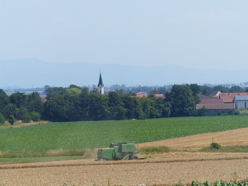 P1640119