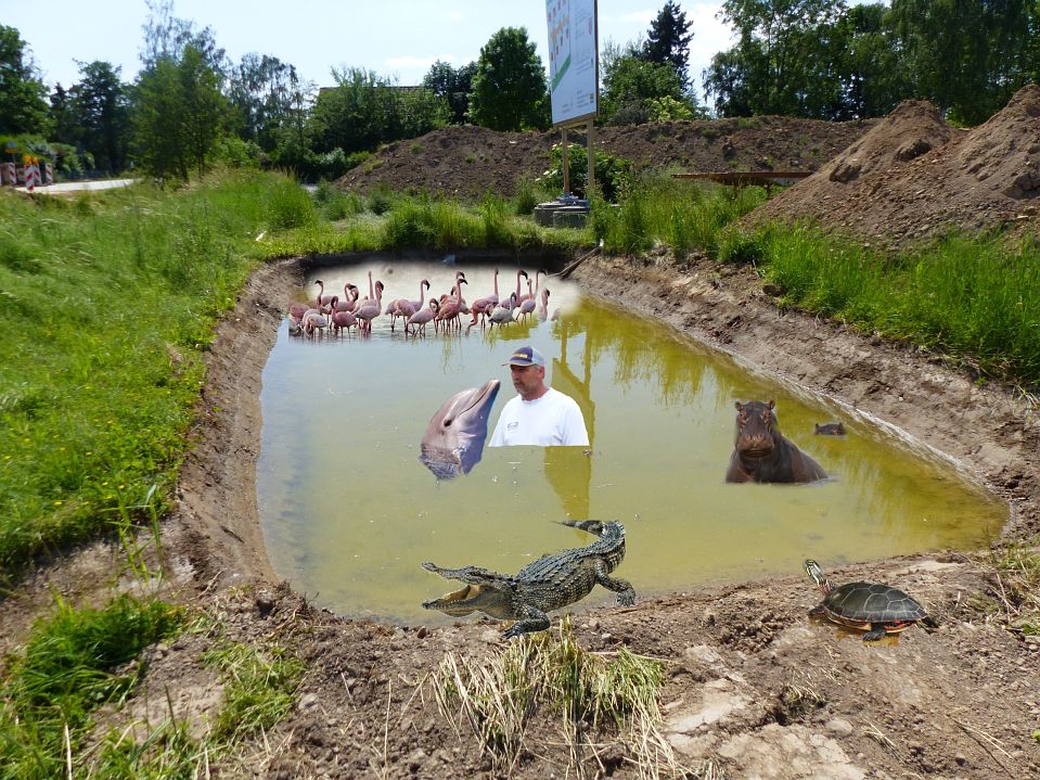 badeweiher