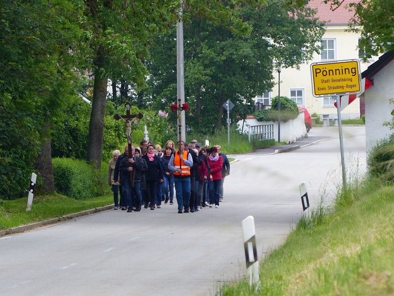 P1600513