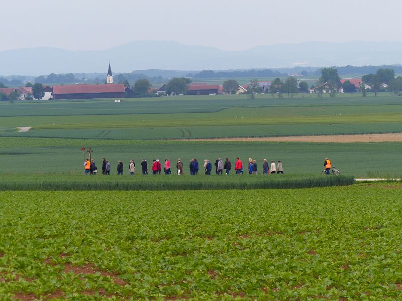 P1600607