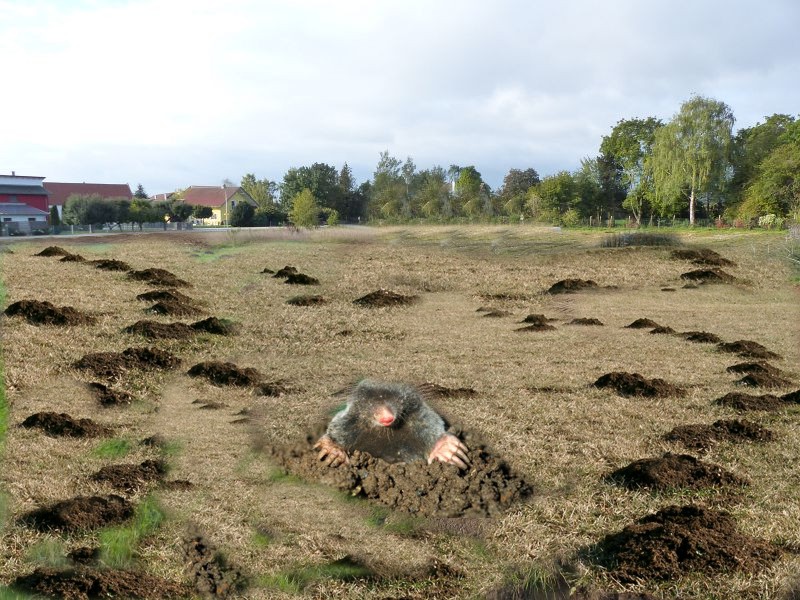 baugebiet