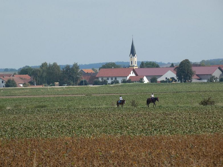 P1000291