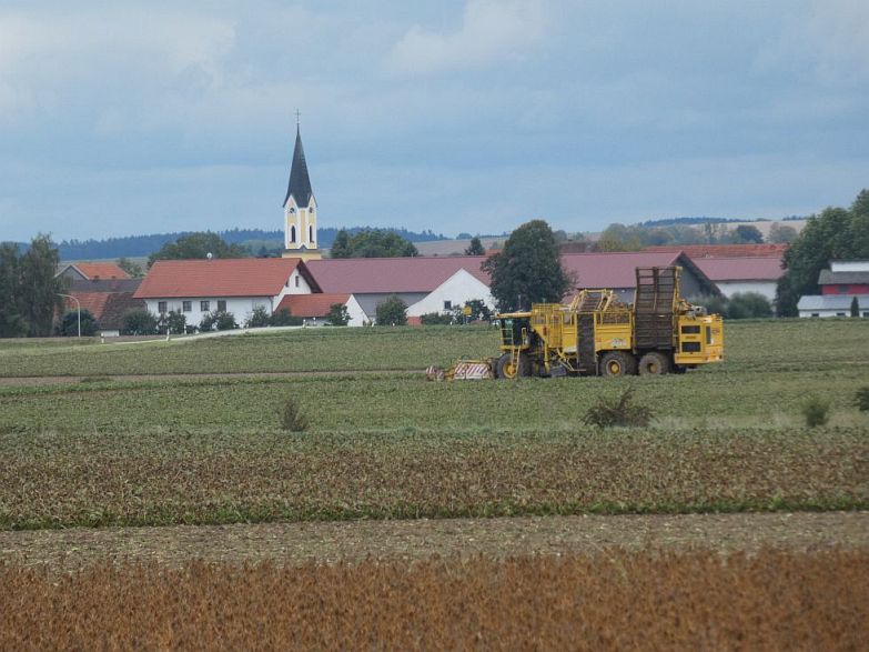 P1000435