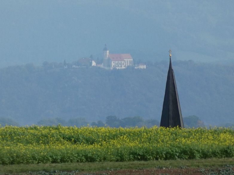P1000595