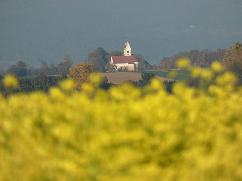 P1010094