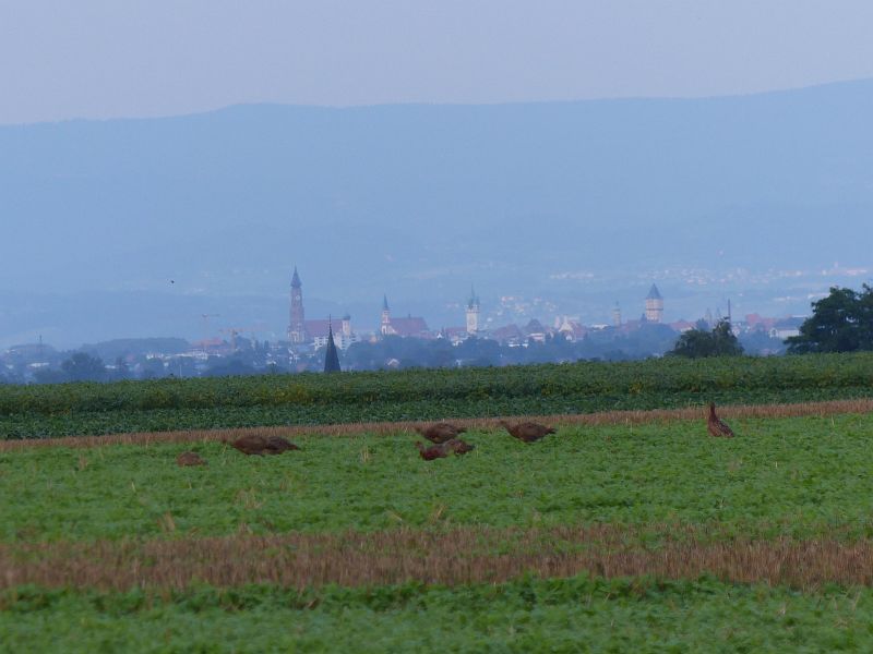 P1650497