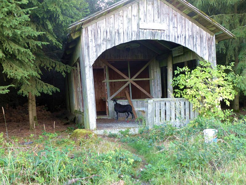 P1650988