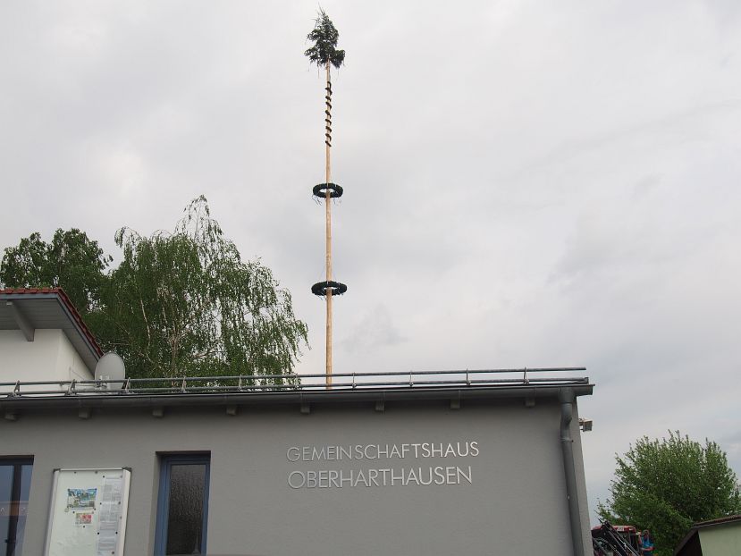 P4300078