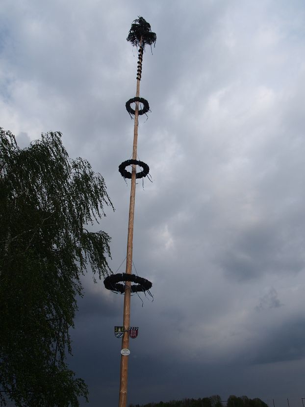 P4300079