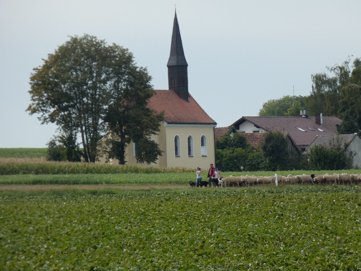 P1000191