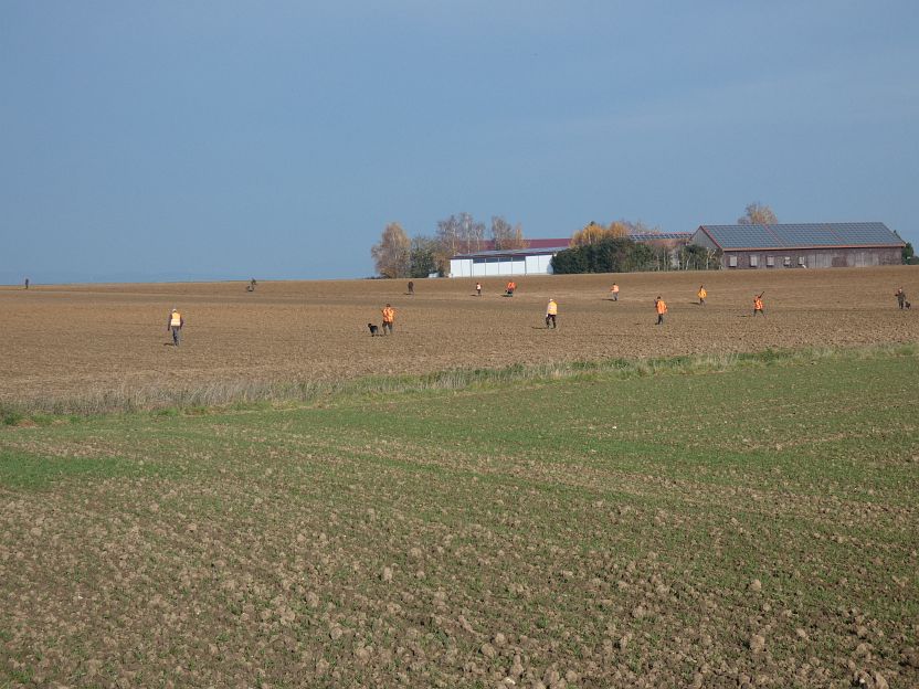 P1020085
