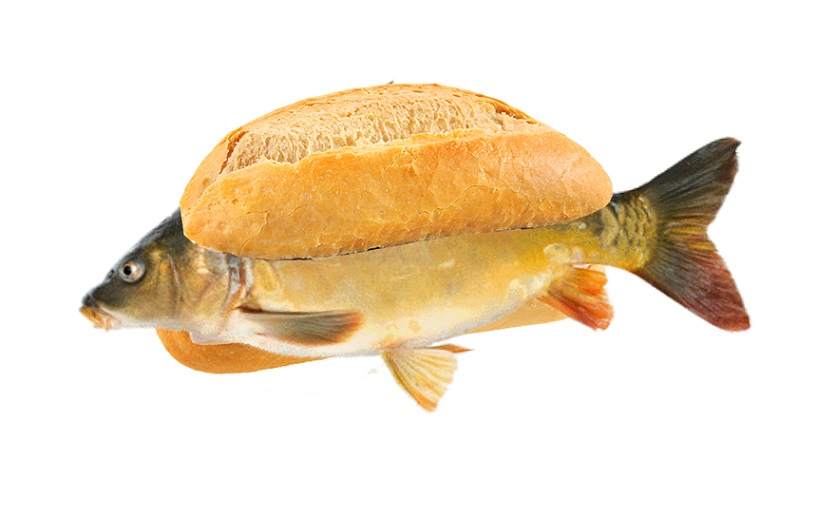 Fischsemmel