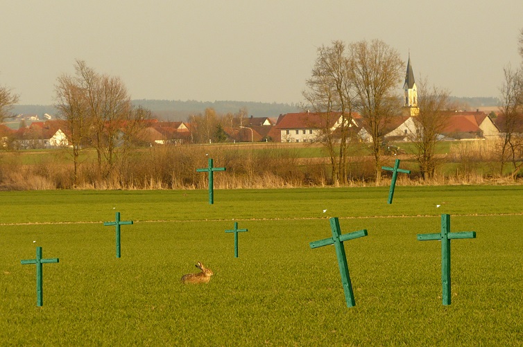 Grüne Kreuze