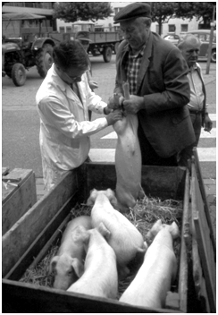 Ferkelmarkt 1