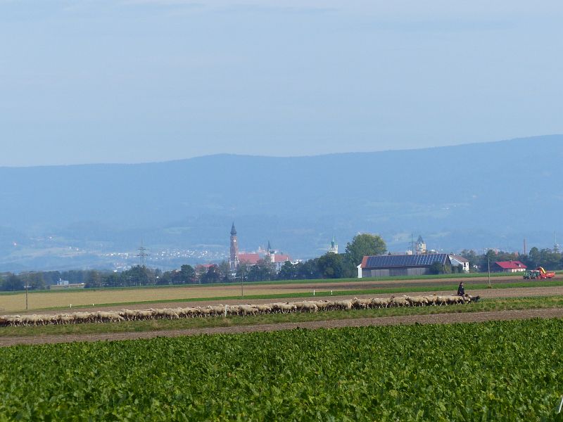 P1720488