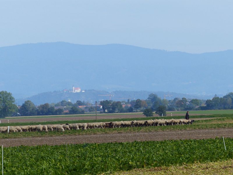 P1720490