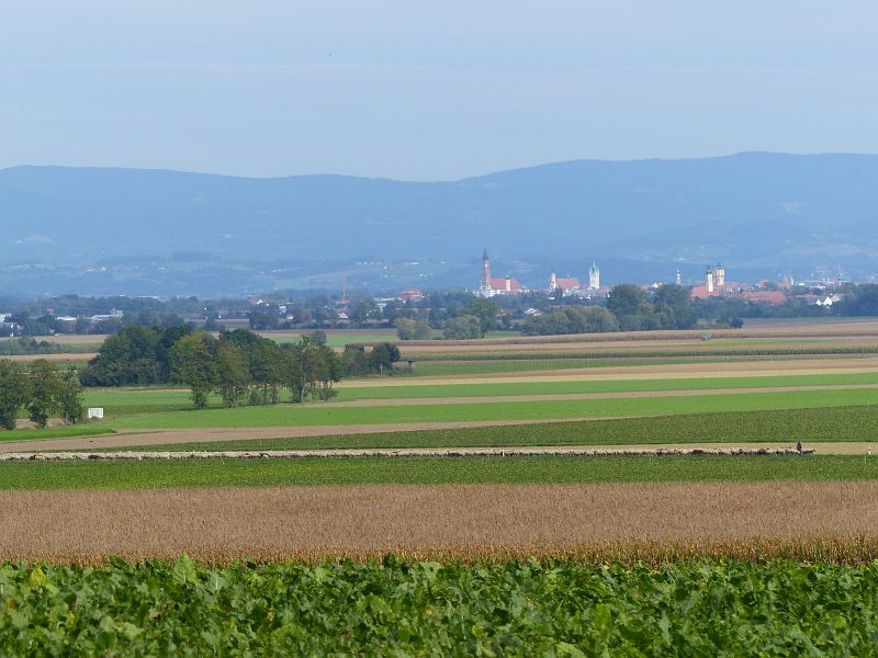 P1720539