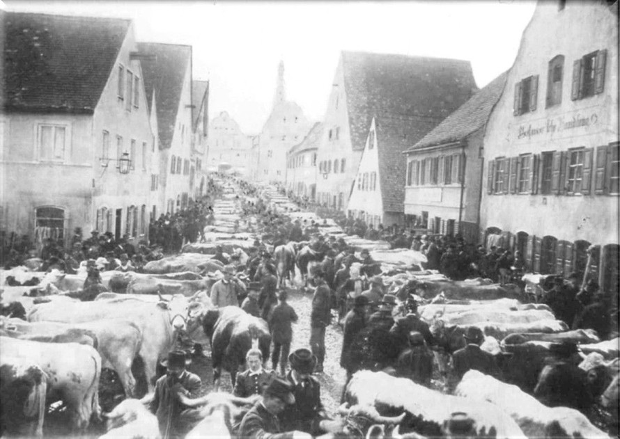 Rindermarkt