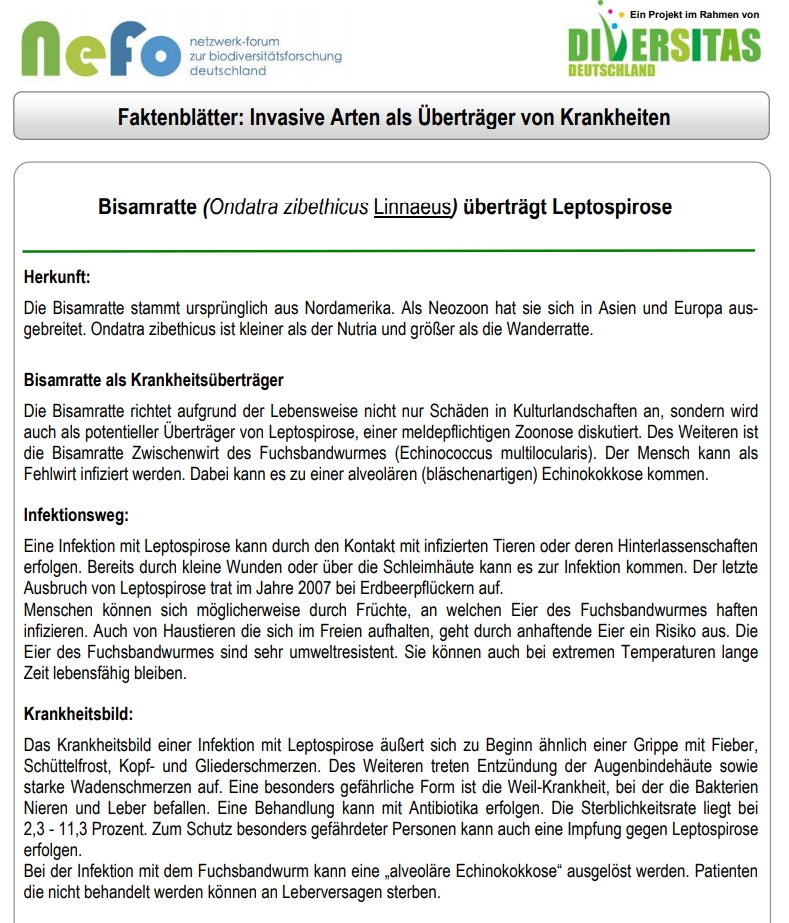 Überträger Krankheiten