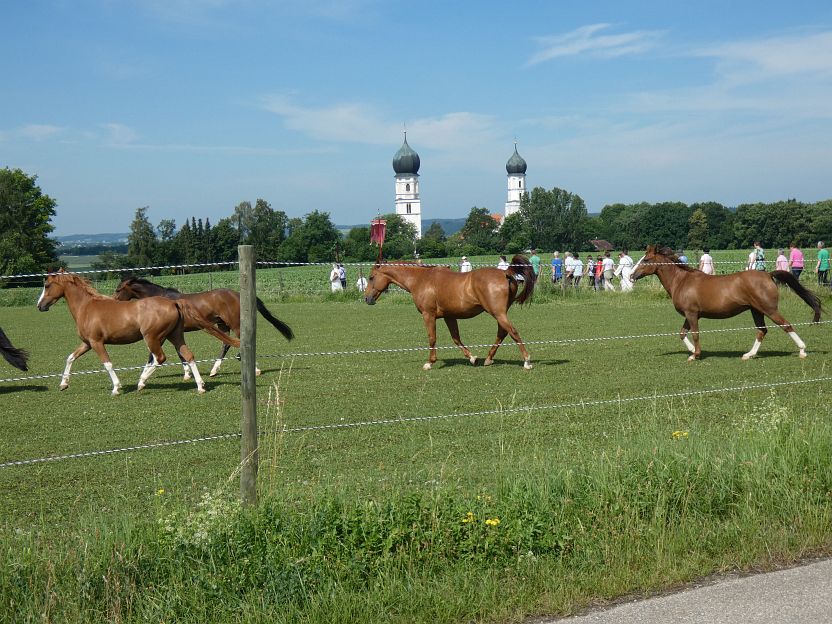 P1090235