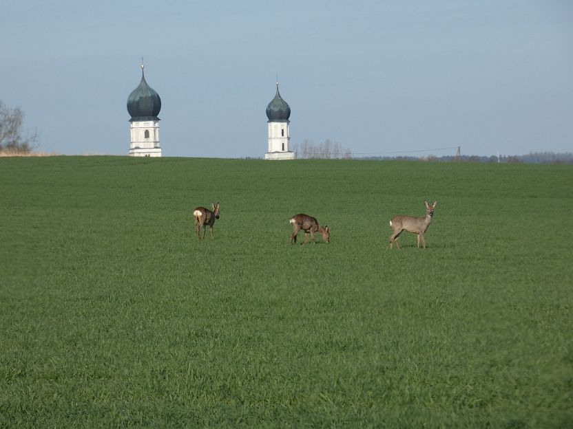 P1050683