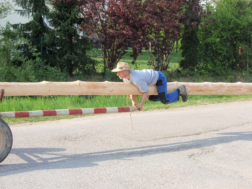 Bild Alex auf Maibaum