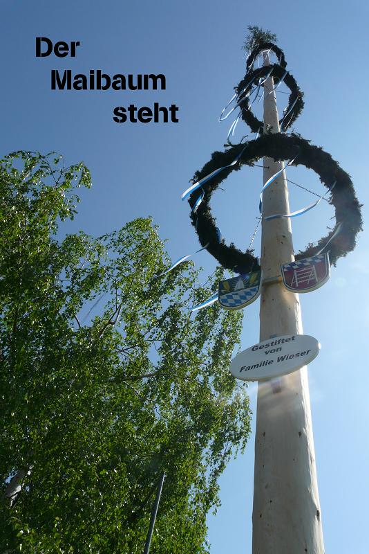 Maibaum