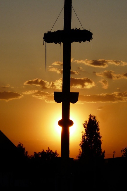 Maibaum5
