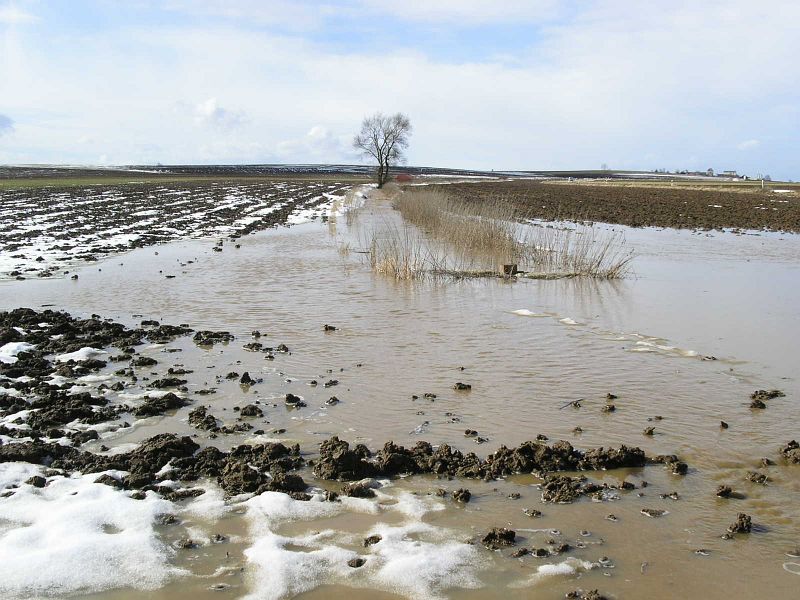 Hochwasser 17.2.2006 034
