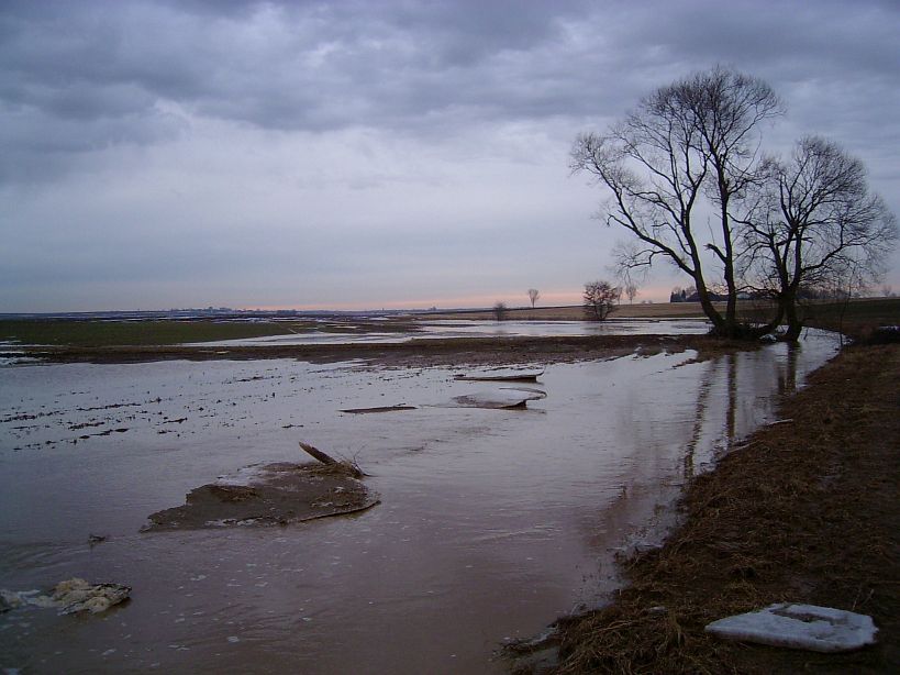 PIC 0101