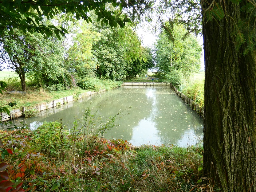 P1140729