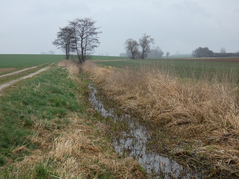 P1200055