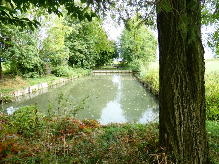 Peringer Weiher