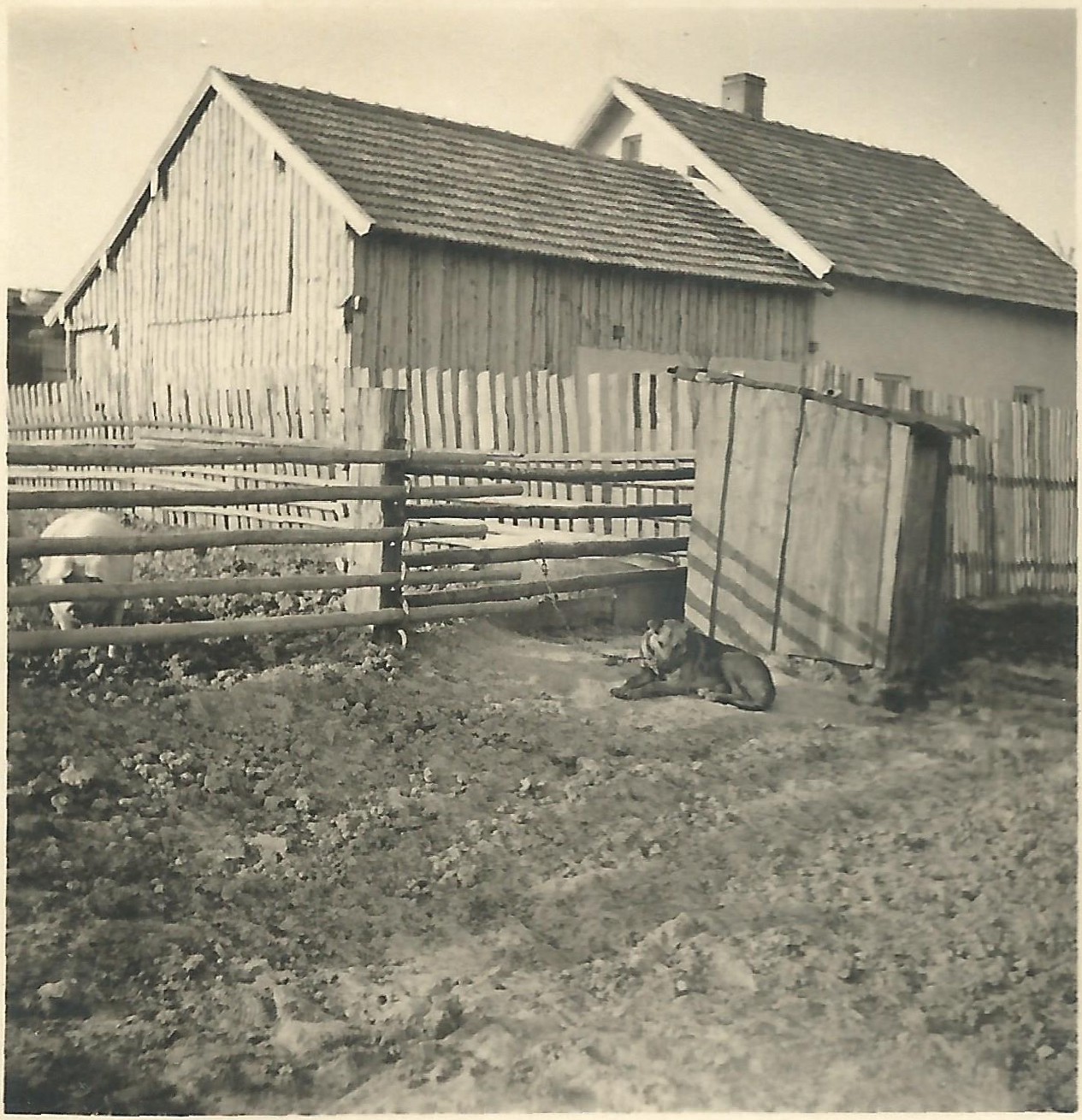 20a