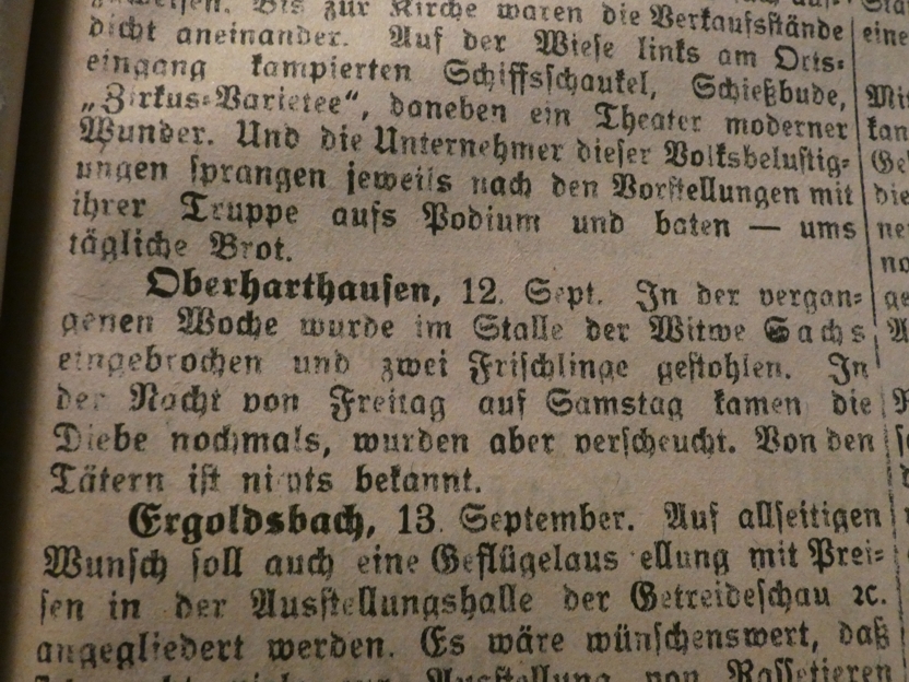 Schweinedieb 11.10.2021 bei Sax