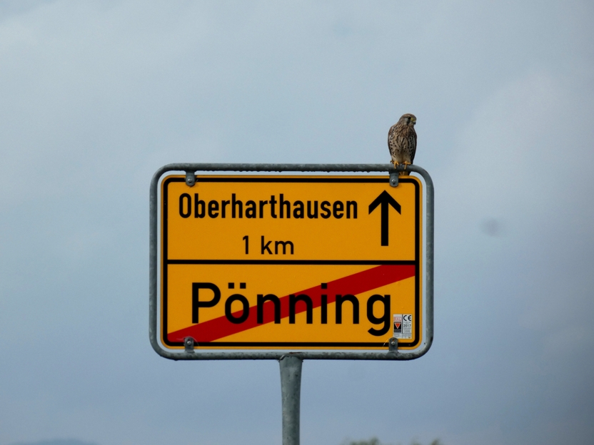 Verkehrszäöhlung
