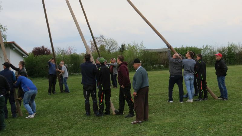IMG 1931