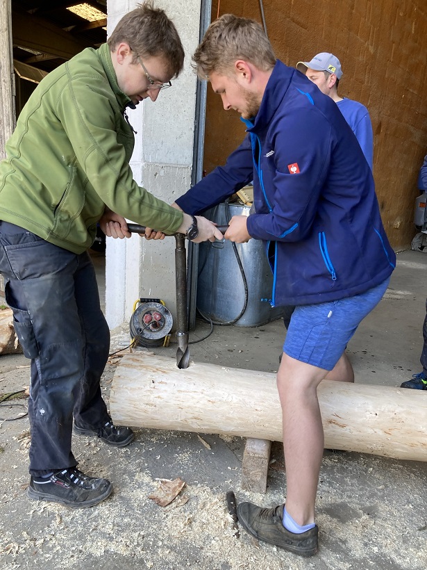 IMG 3592