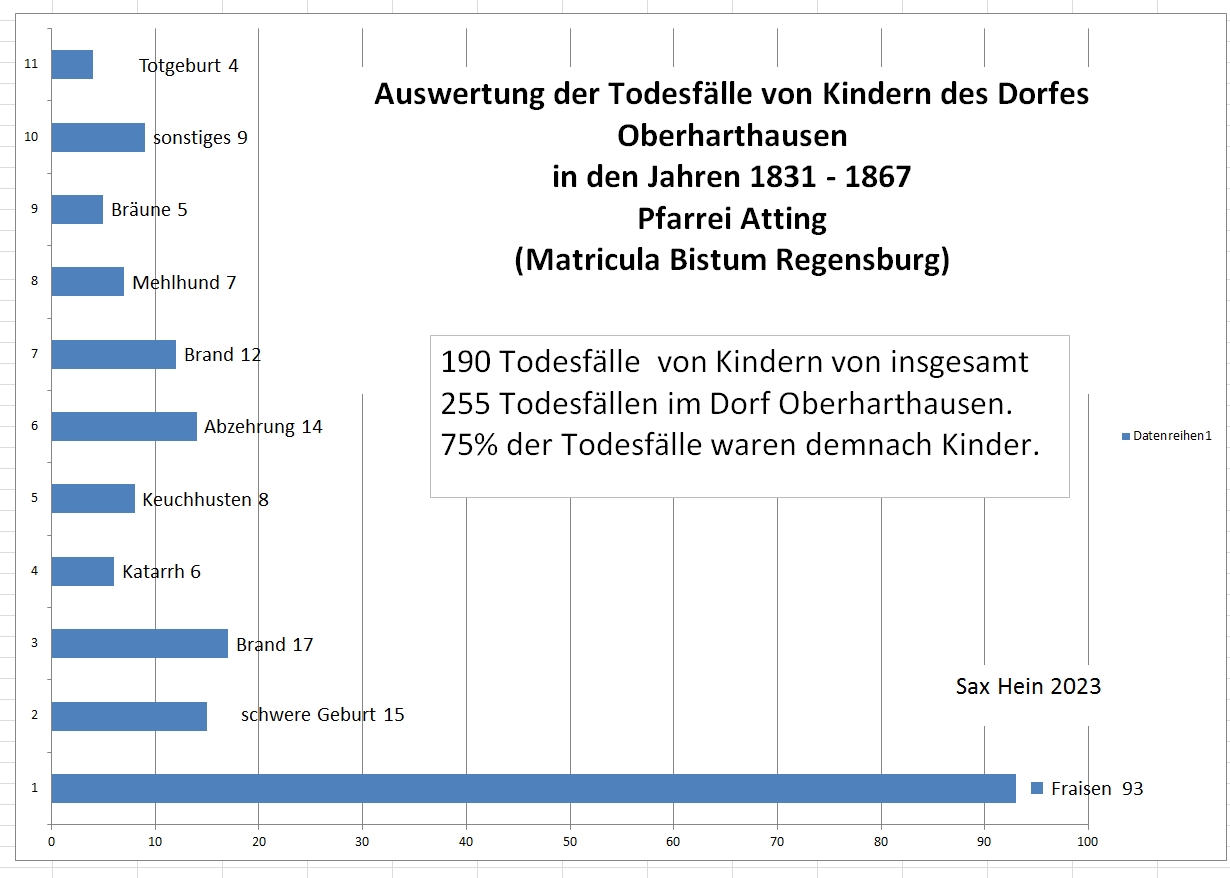 Auswertung der Todesfälle der Kinder