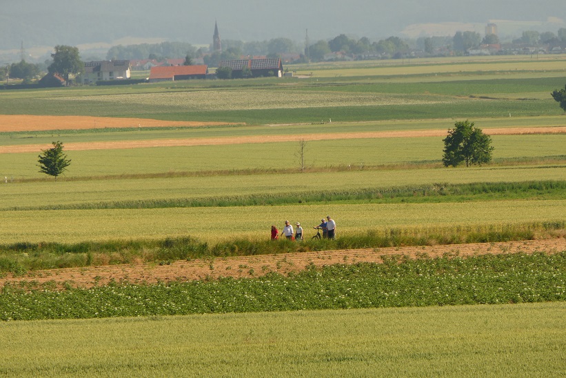 P1140237a
