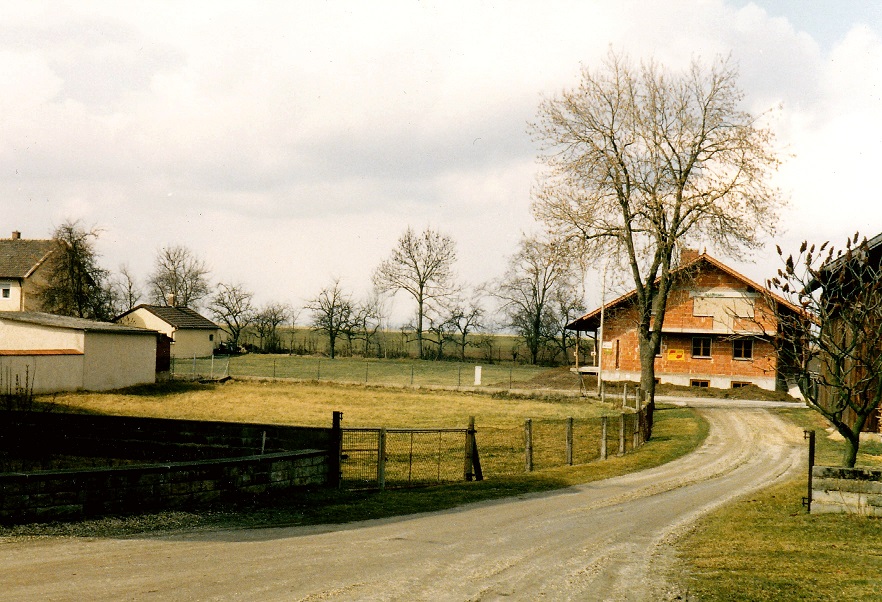 Baum Hausgrundstück