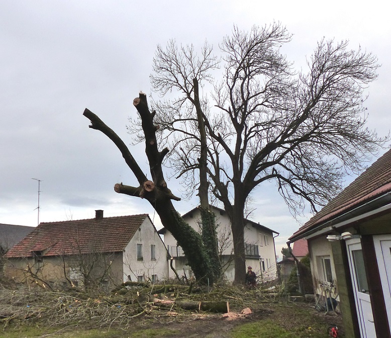 gefällt