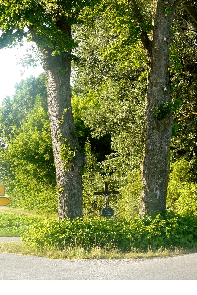 lindenbaum Ringenberg
