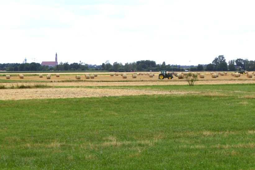 P1160049
