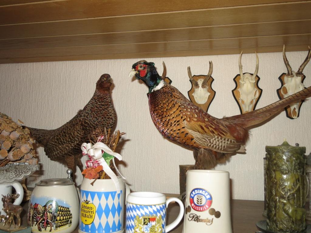IMG 5592