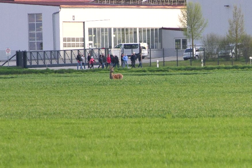 P1080750