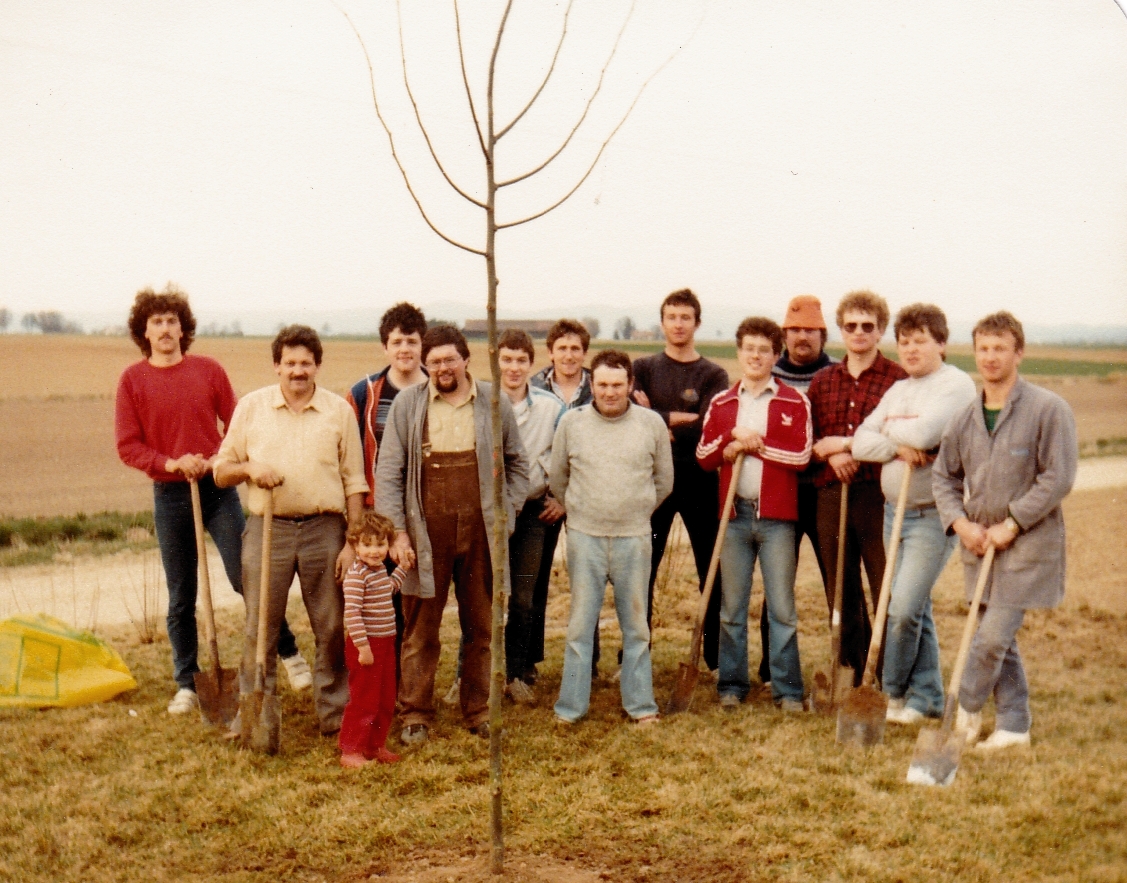 Hecke Sportplatz setzen 1