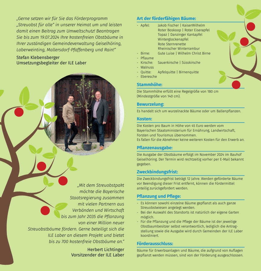 Dein gschenkter Baum1